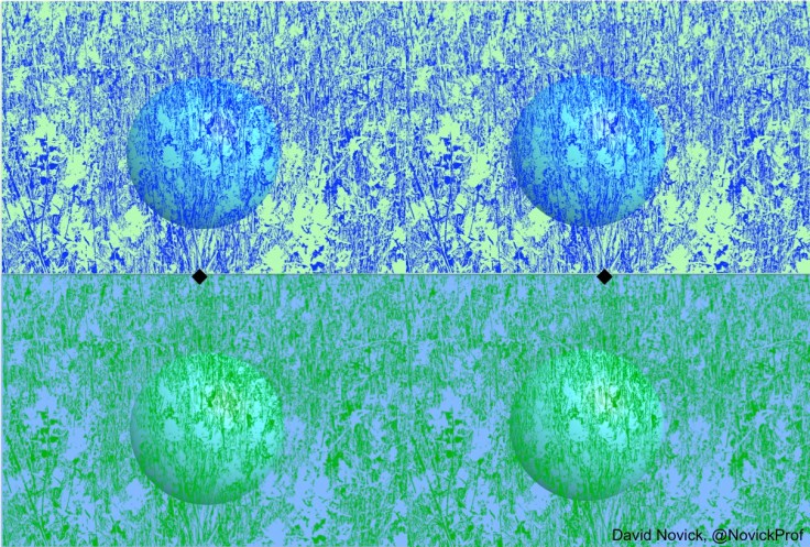 Munker transparent sphere stereogram 1